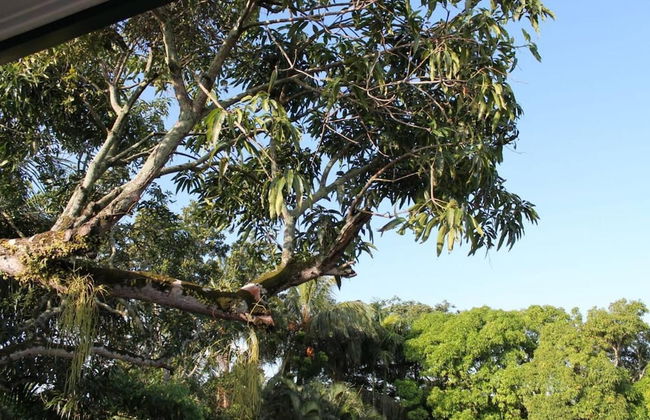 Very Charming 1-bed Studio-apartment in Paramaribo - Photo 24