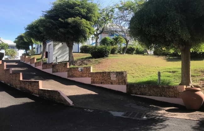 Marco Polo - Foto 38