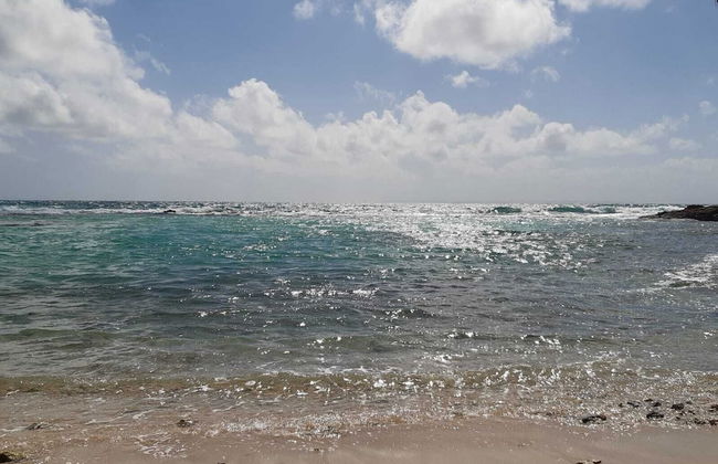 Marco Polo - Foto 34