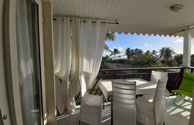 Marco Polo - Foto 17