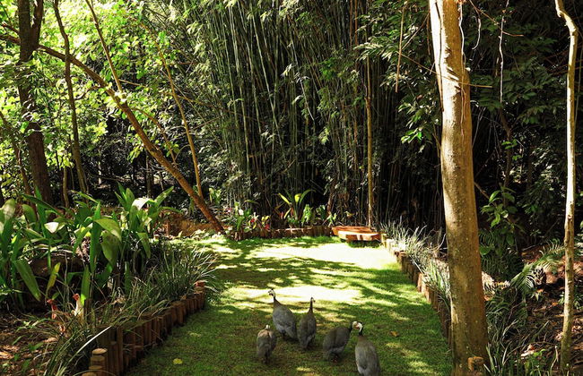 Hotel Fazenda Vale Amanhecer - Foto 69