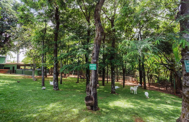 Hotel Fazenda Vale Amanhecer - Foto 67