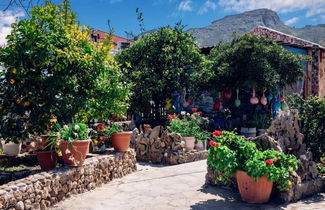 Photo 2 - Rhodes Archaggelos Paradise - Garden Sunny Haven