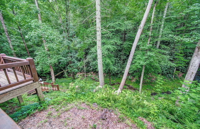Bear Track Falls Retreat Mtn. Getaway! - Foto 31