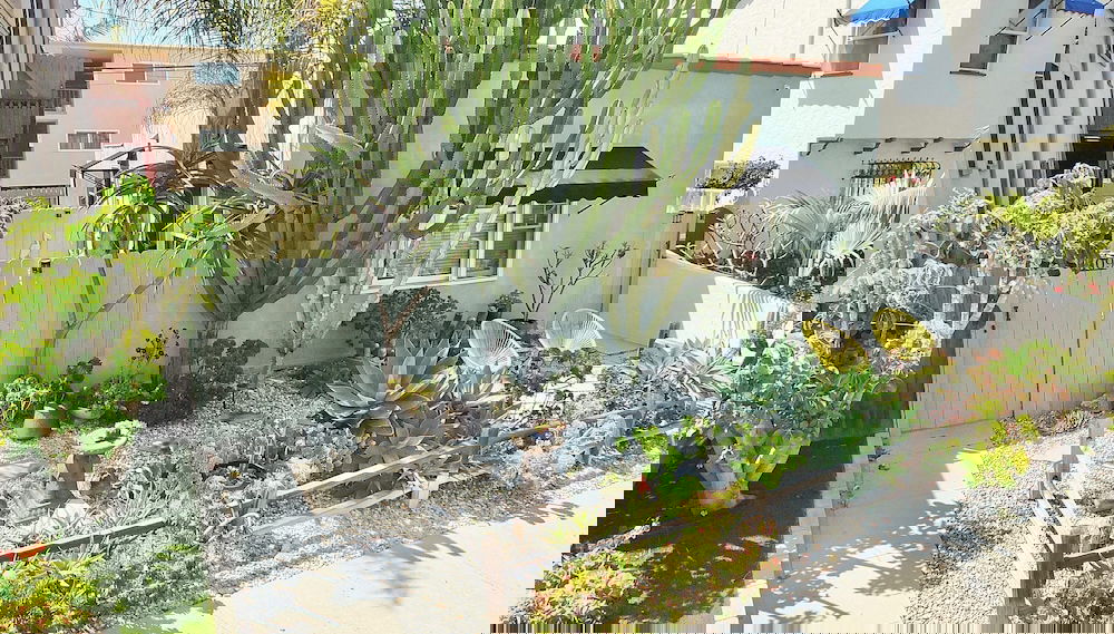Image principale