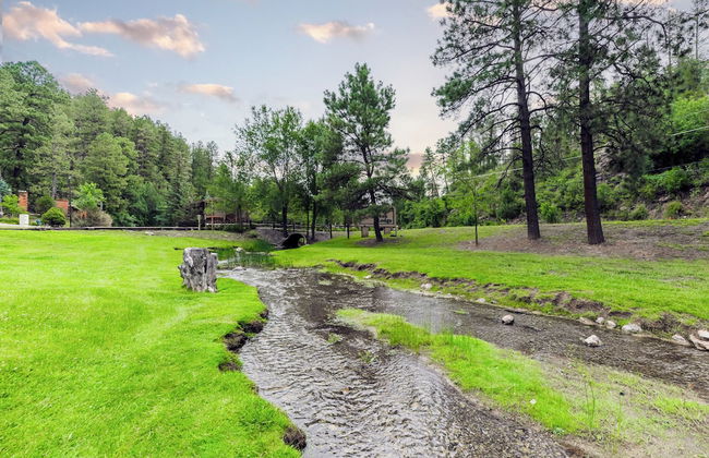 Canyon Creek Lodge 208 - Wildcat Den - Foto 5