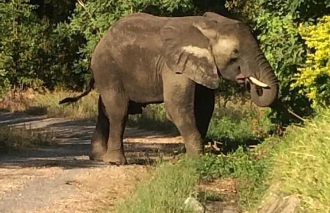 Kariba - Foto 18