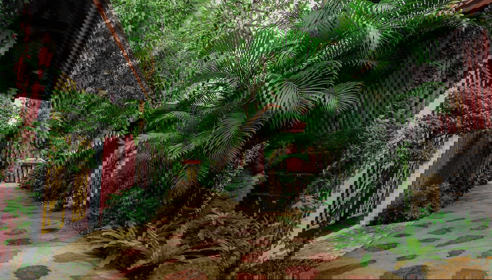 Primary image