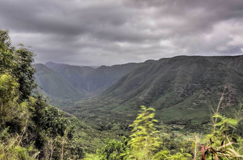 Photo 25 - High-end Resort Condo Nestled on Molokai Shoreline