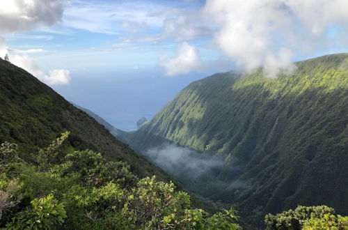 Foto 8 - High-end Resort Condo Nestled on Molokai Shoreline