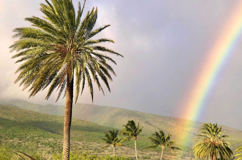 Photo 33 - High-end Resort Condo Nestled on Molokai Shoreline