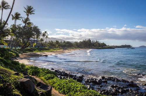 Photo 50 - Stunning Modern Beachfront Resort Vistas