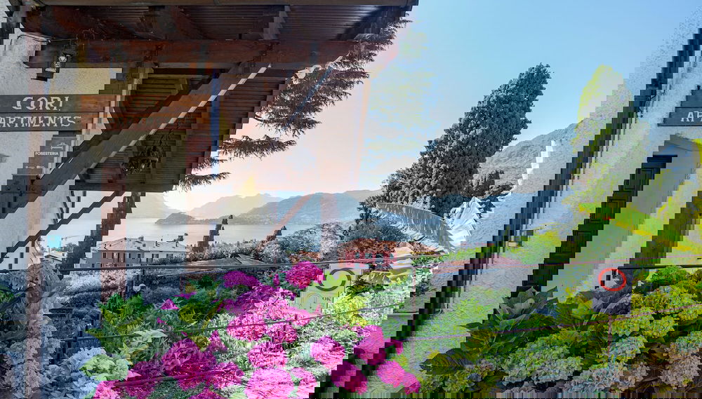 Image principale