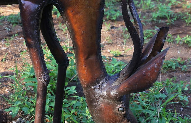 Grace of Africa - Foto 56