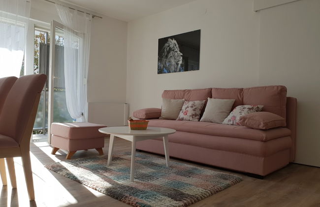 Lion Apartment Zagreb - Foto 8