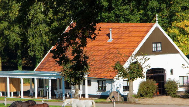 Rezeption