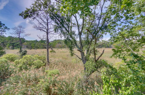 Photo 19 - Home w/ Wetland Views- Walk to Bethany Beach