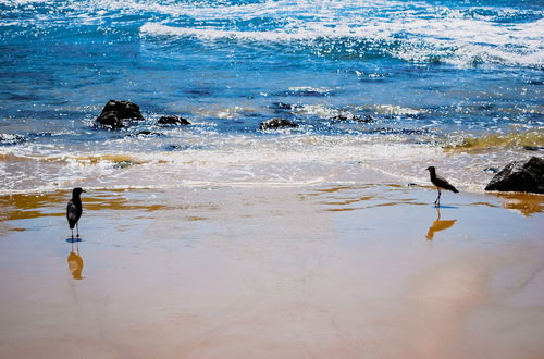 Photo 52 - Paraíso em Itacaré - Praia de São José e Prainha