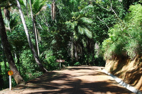 Foto 41 - Paraíso em Itacaré - Praia de São José e Prainha