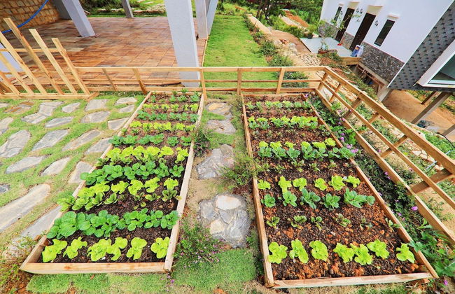 An Nhiên Villa - Foto 69