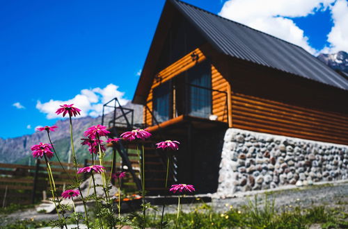 Photo 18 - Traveler's Cottage in Kazbegi