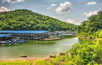 Photo 3 - Center Hill Lake Rental: Steps to Hurricane Marina