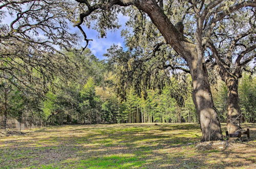 Photo 23 - Cabin in Helotes Hill Country ~ 9 Mi to Old Town