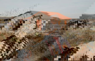 Photo 25 - Paradise Ranch