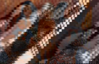 Photo 27 - Paradise Ranch