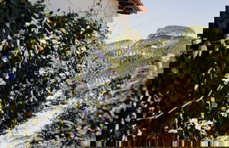 Photo 38 - Paradise Ranch