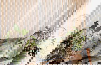 Photo 6 - Paradise Ranch