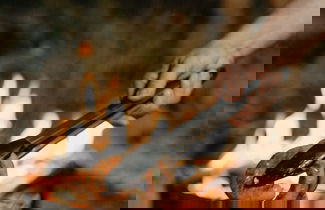 Photo 36 - Paradise Ranch