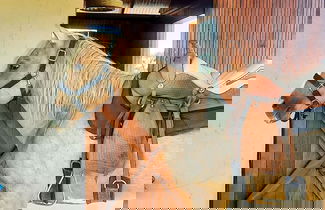 Photo 21 - Paradise Ranch