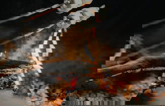 Photo 10 - Paradise Ranch