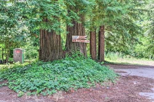 Foto 31 - Redwoods Cabin w/ Hot Tub: Walk to Russian River