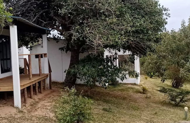 Restaurante Calor Tropical - Foto 18