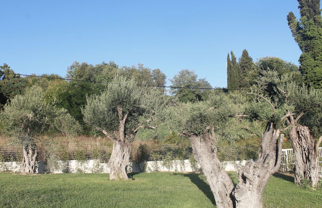 Stablo Residence Corfu - Photo 41