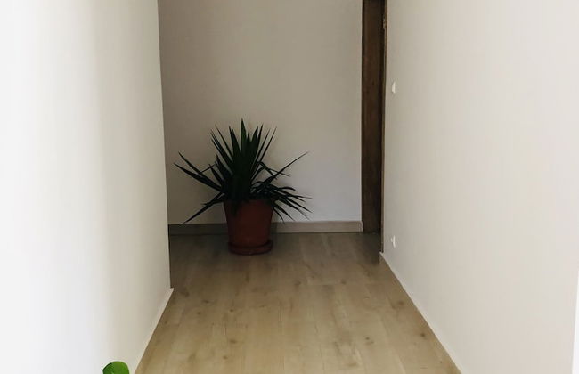 Sunu Keur Yoff - Foto 2