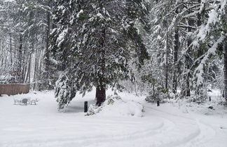 Photo 3 - Peaceful Mckenzie River Retreat: Fish, Hike, & Ski