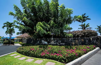 Photo 1 - Alii Cove G3 Beautiful Ground Floor Spacious 2 Bedroom With AC