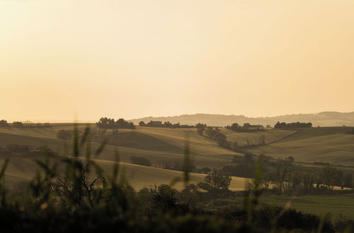 Photo 60 - Poggio Antico - Suites and Breakfast