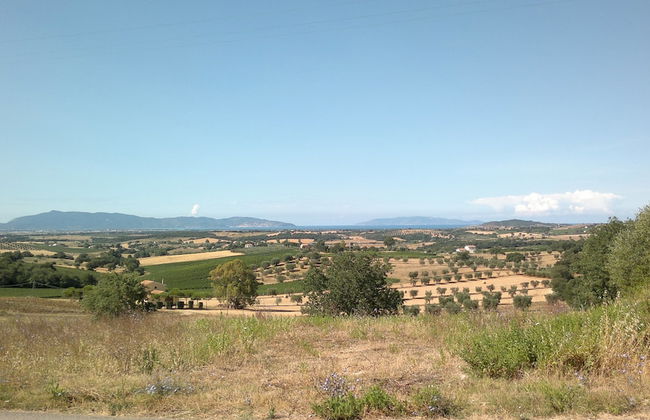 Artemisia negli ulivi B&B - Foto 31
