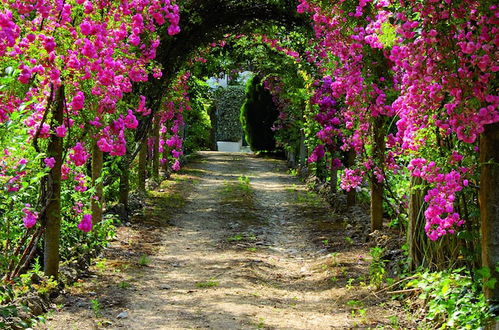 Photo 33 - Quinta de São Lourenço