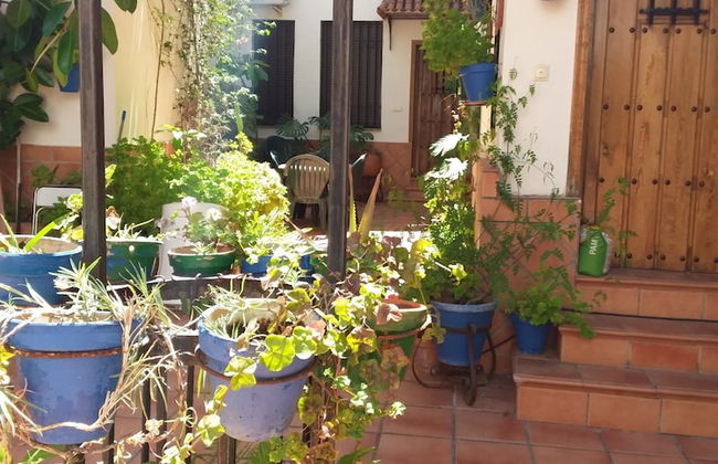 Casa Tipica Cordobesa en la Juderia - Foto 1