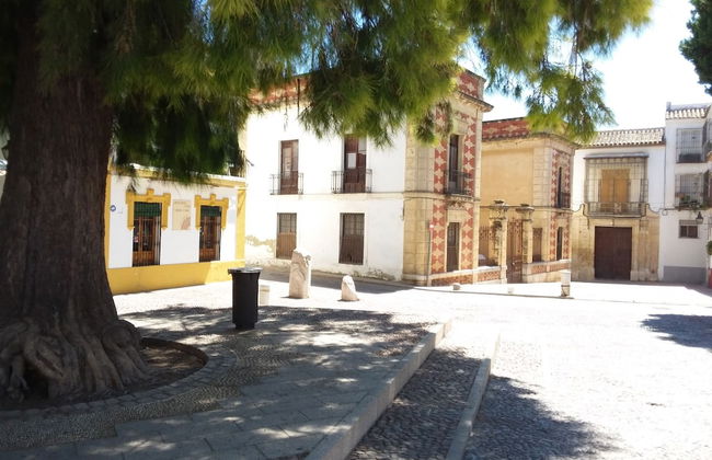 Casa Tipica Cordobesa en la Juderia - Foto 29