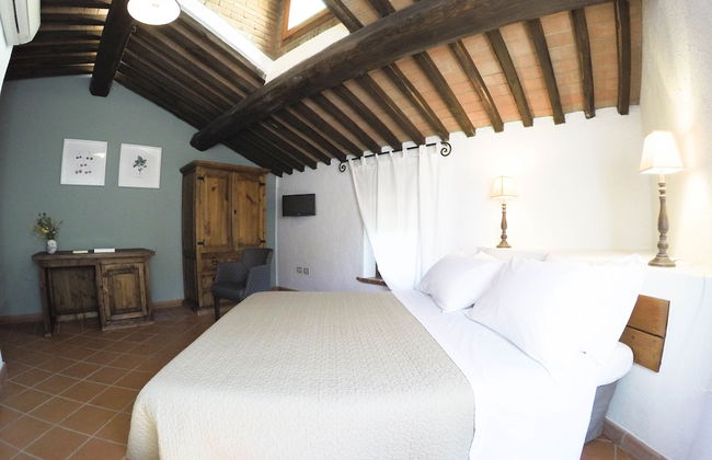 Boschi di Montecalvi - Photo 20