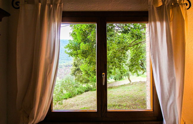 Boschi di Montecalvi - Photo 32