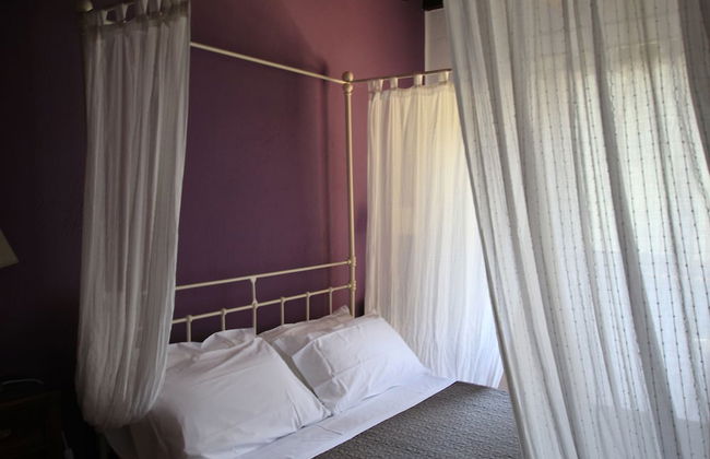 Boschi di Montecalvi - Photo 22