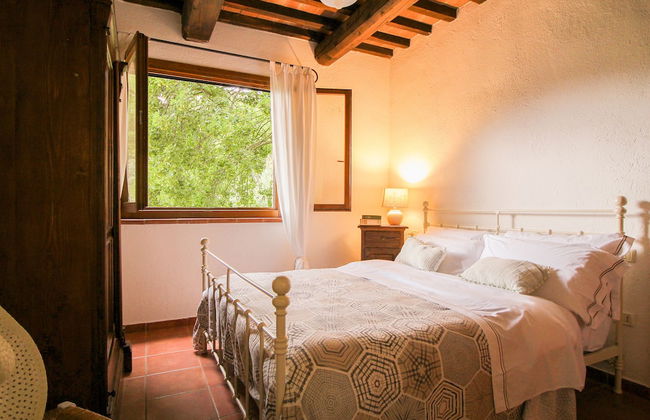 Boschi di Montecalvi - Photo 37