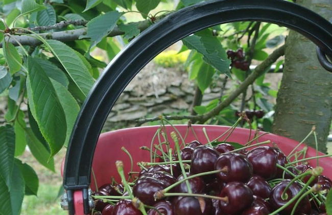 Agriturismo Bortolotti - Foto 57